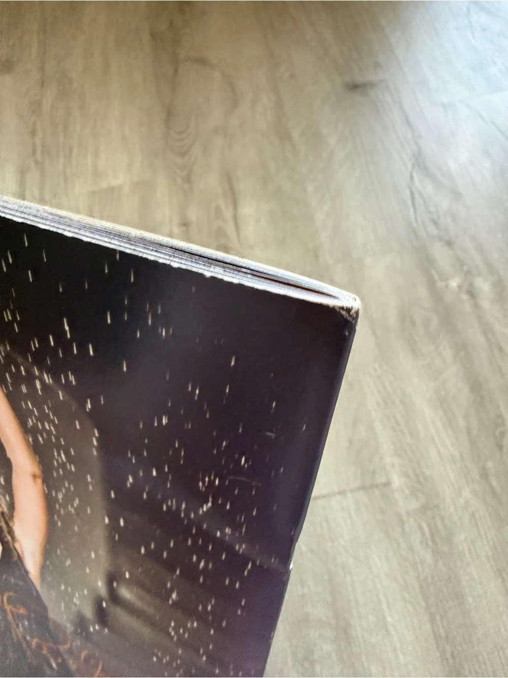 Taylor Swift Fearless Tour 2009 2010 Program Book Photo